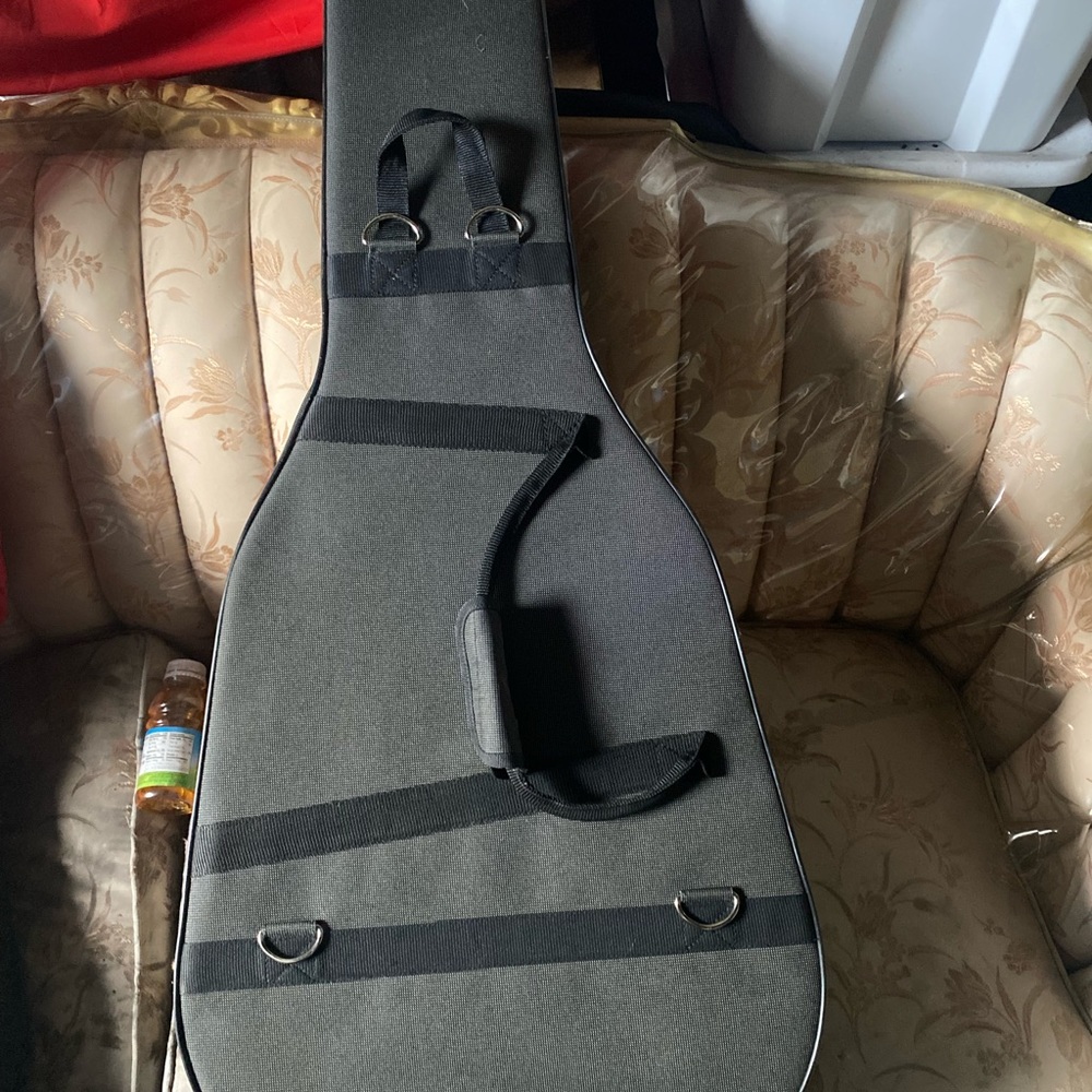 Guitar case